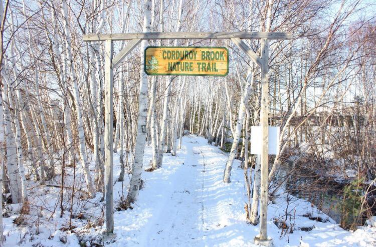 Cordory Brook Trail sign surrounded by birch trees during winter.